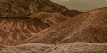 What Would Life on Mars Look Like