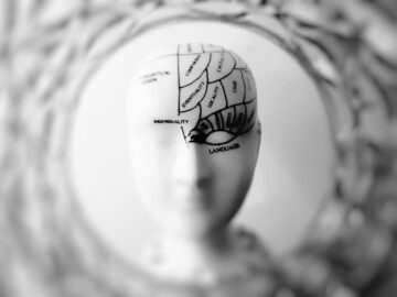 The Science of Happiness: How Our Brains Process Joy